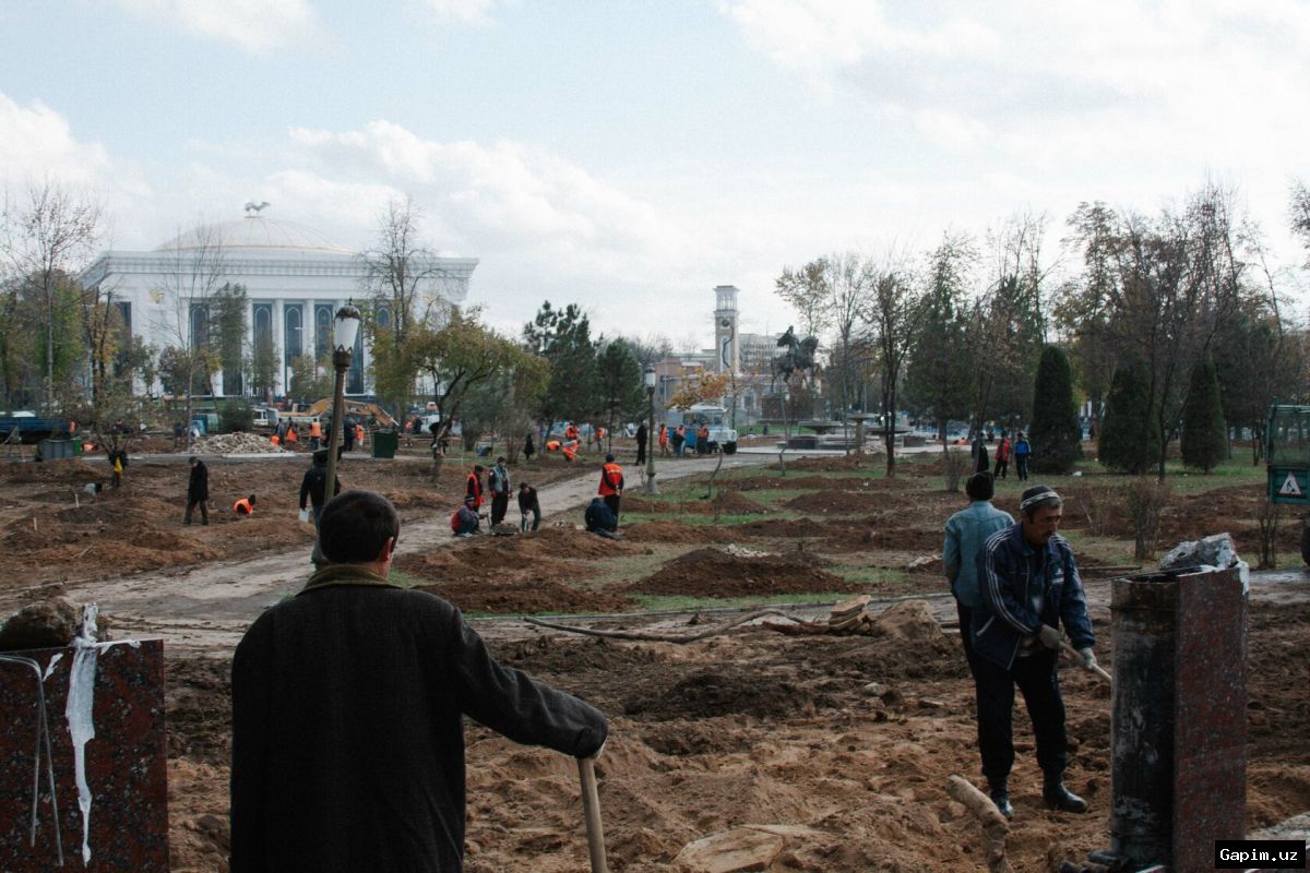 🌳⚖️ Протест на дереве: гражданин забрался на дерево перед зданием Верховного суда Узбекистана