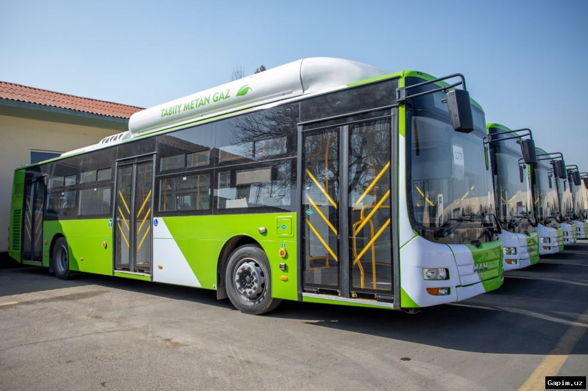 🚍🇺🇿 Uzbekistan Needs 1,500 Buses to Upgrade Public Transport