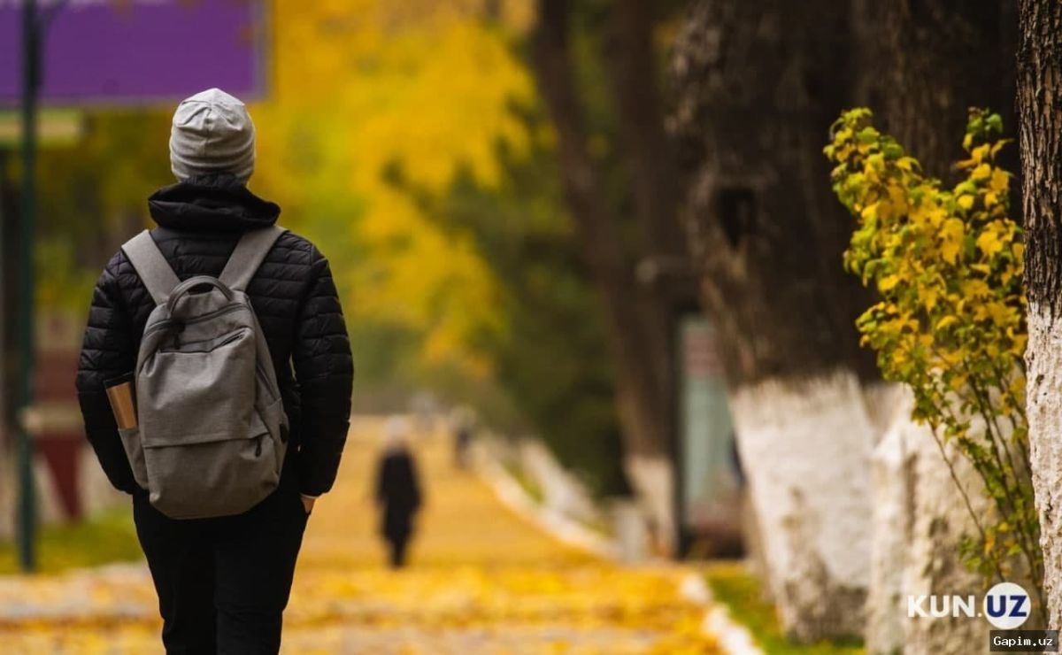 🚶‍♂️🌿 '10 ming qadam' milliy tashabbusi qayta tiklanmoqda