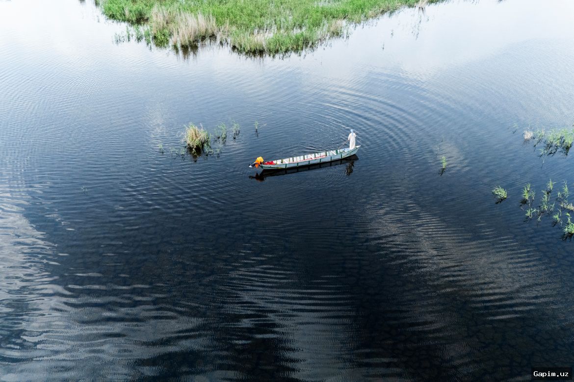 🌊🦆 Iraq marshes revive after long-awaited rains, bringing hope to locals