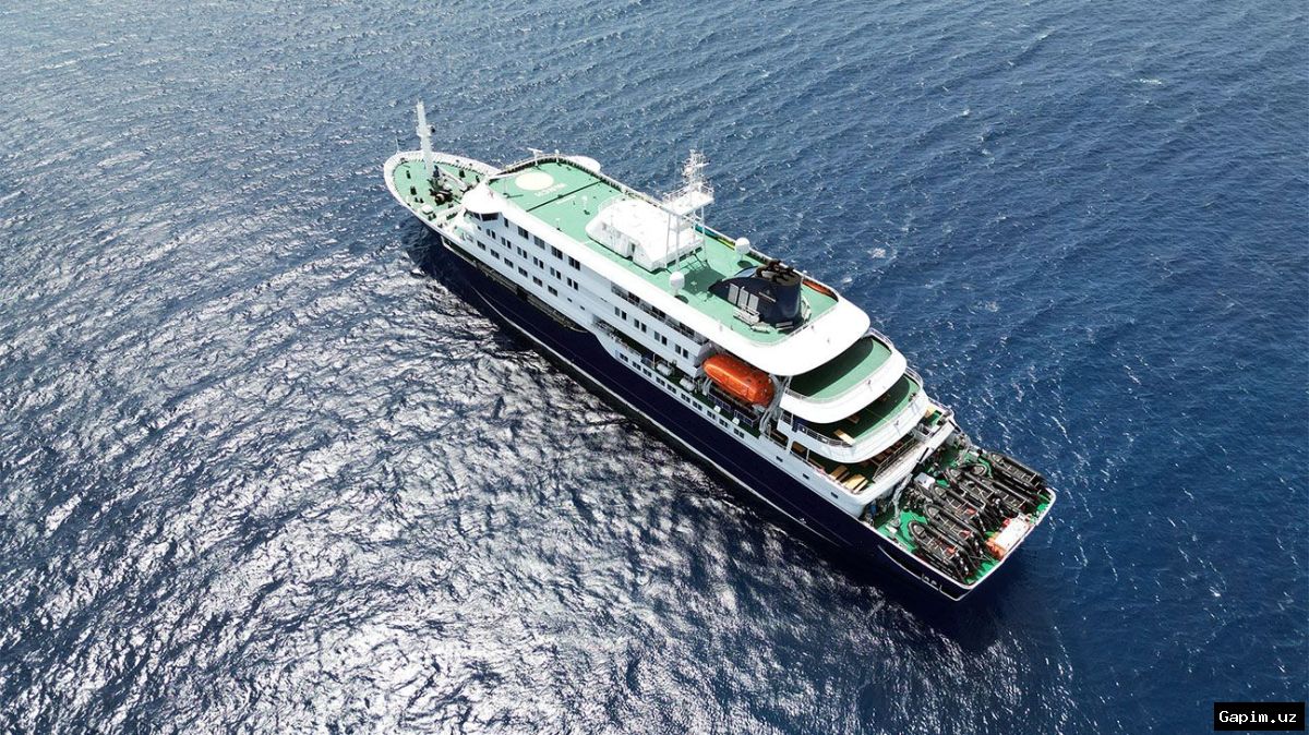 🔬🚢 Two Britons Evacuated from Hantavirus-Stricken Cruise Ship Show Improvement, WHO Says