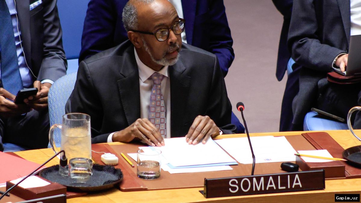 🌍🛡️ Somalining BMT va AU Xavfsizlik Kengashlariga saylanishi: Diplomatik yuksalish