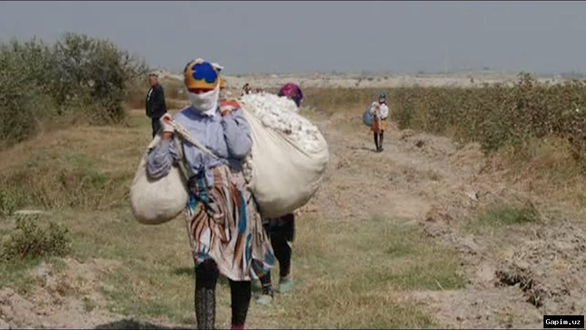 🚐👶 Uzbekistan: 170 violations in child transport discovered, 3,872 children illegally carried