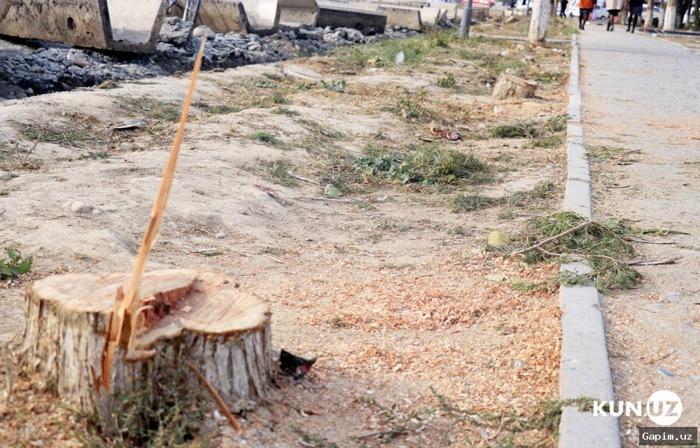 🌿💰 Uzbekistan Multiplies Fines for Legal Entities for Environmental Violations