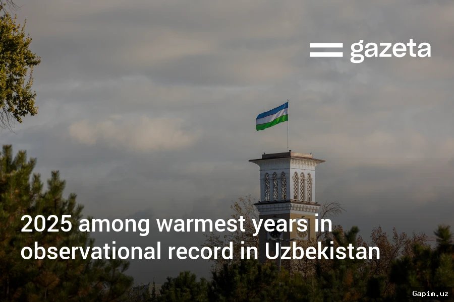 🌡️🌧️ Зима 2025-2026: Рекордное тепло и осадки в Узбекистане