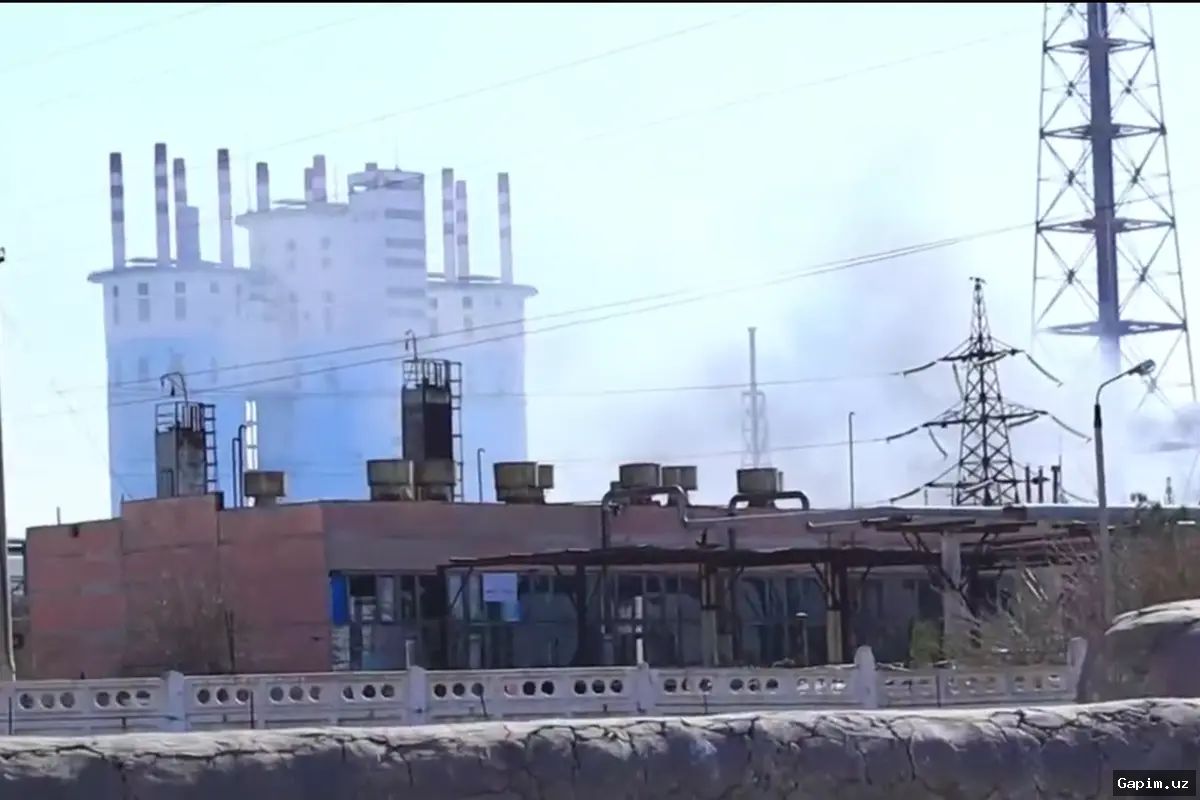 ⚡️🐄 В Джизакской области упала опора ЛЭП: погиб скот, компенсация возможна только через суд