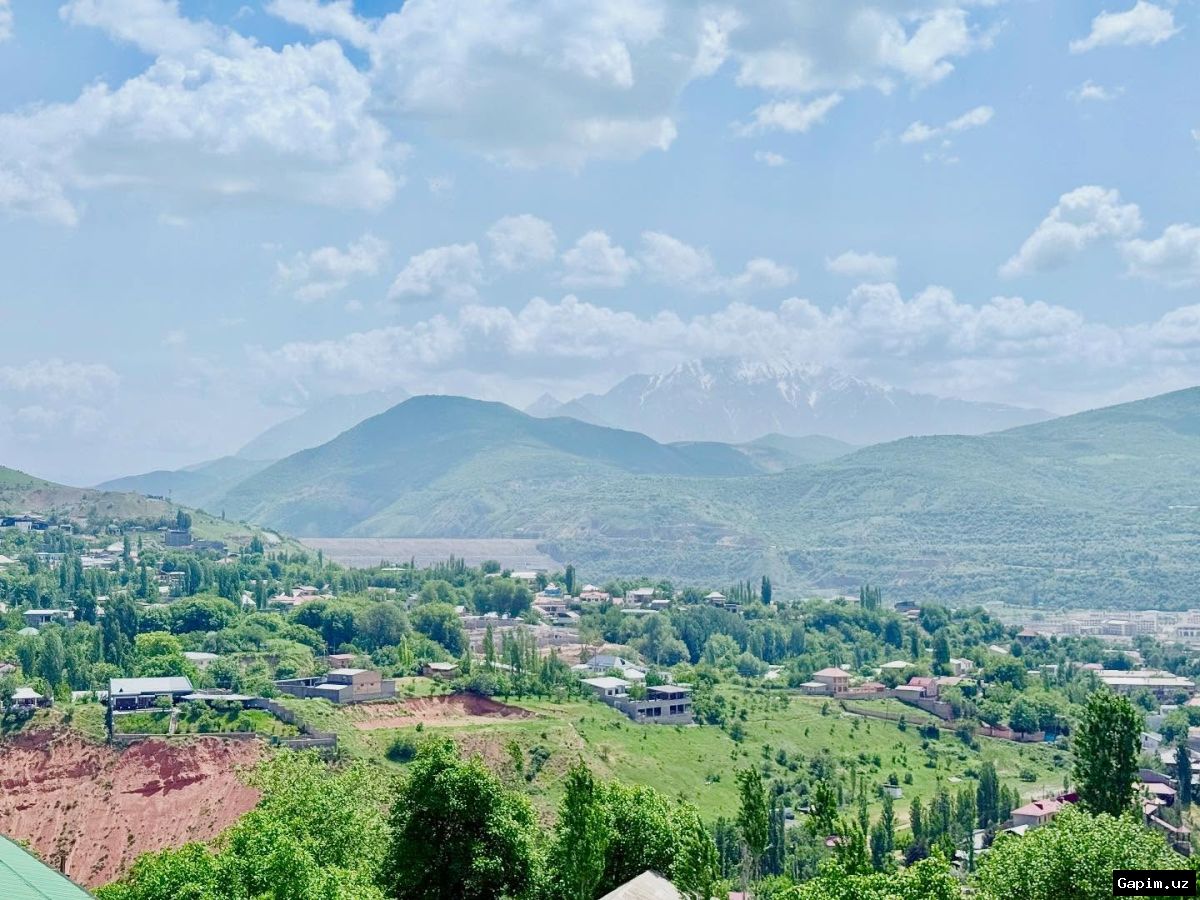 🌳🚗 Uzbekistan Launches National 'Clean Air' Project to Tackle Pollution in Tashkent