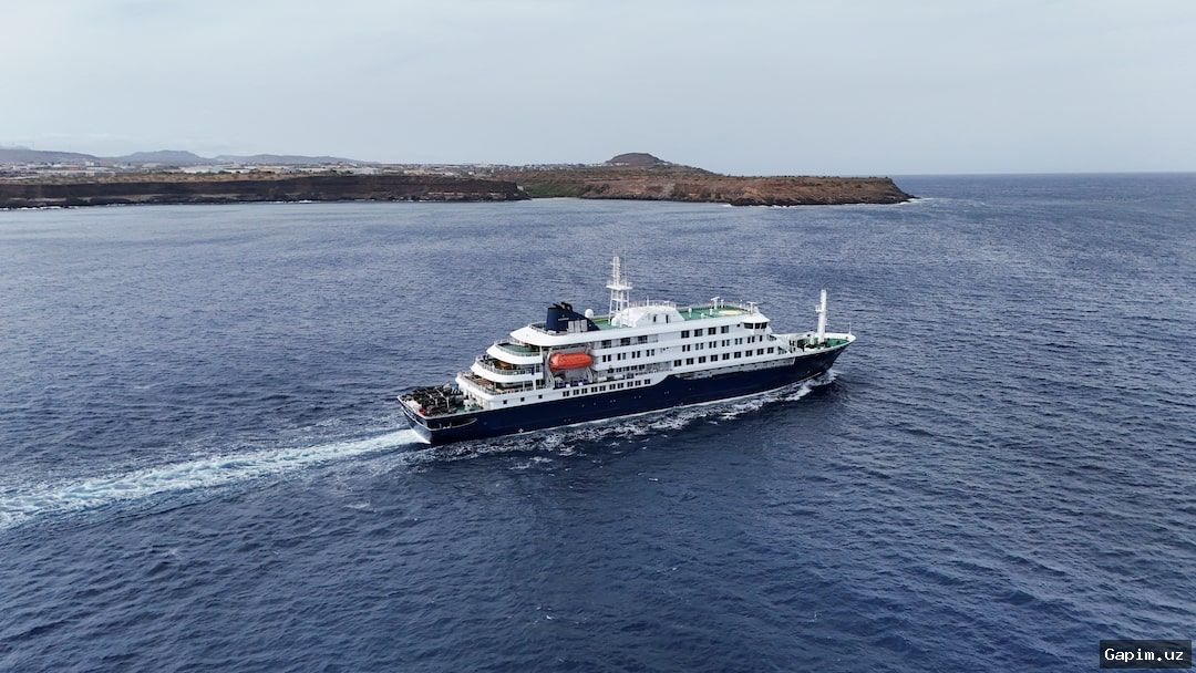 🛳️😷 Круизное судно MV Hondius приближается к Тенерифе: жители выражают недовольство и тревогу