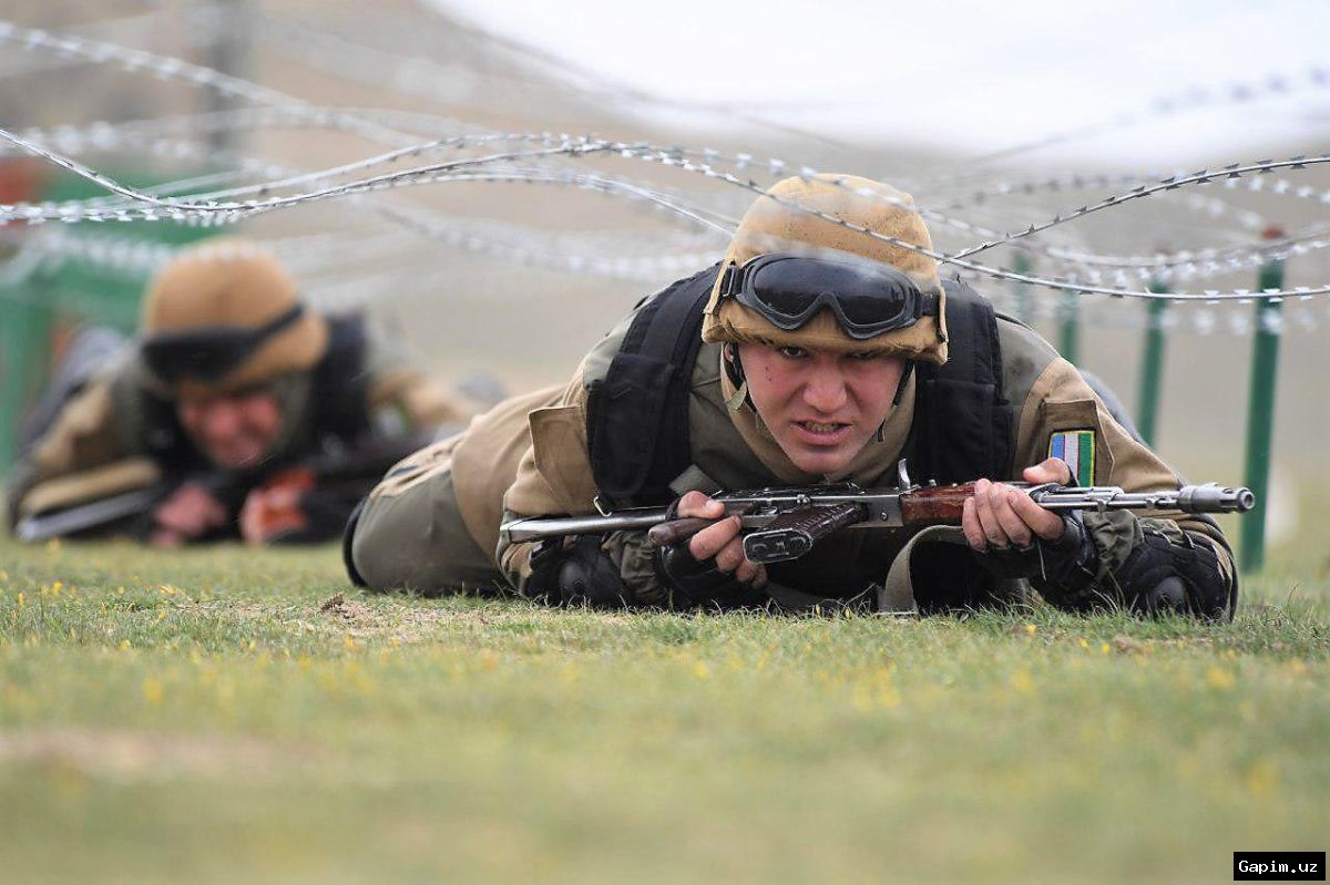 🎖️📚 Президент обсудил меры поддержки призывников: дистанционное обучение, льготные кредиты и поступление в вузы