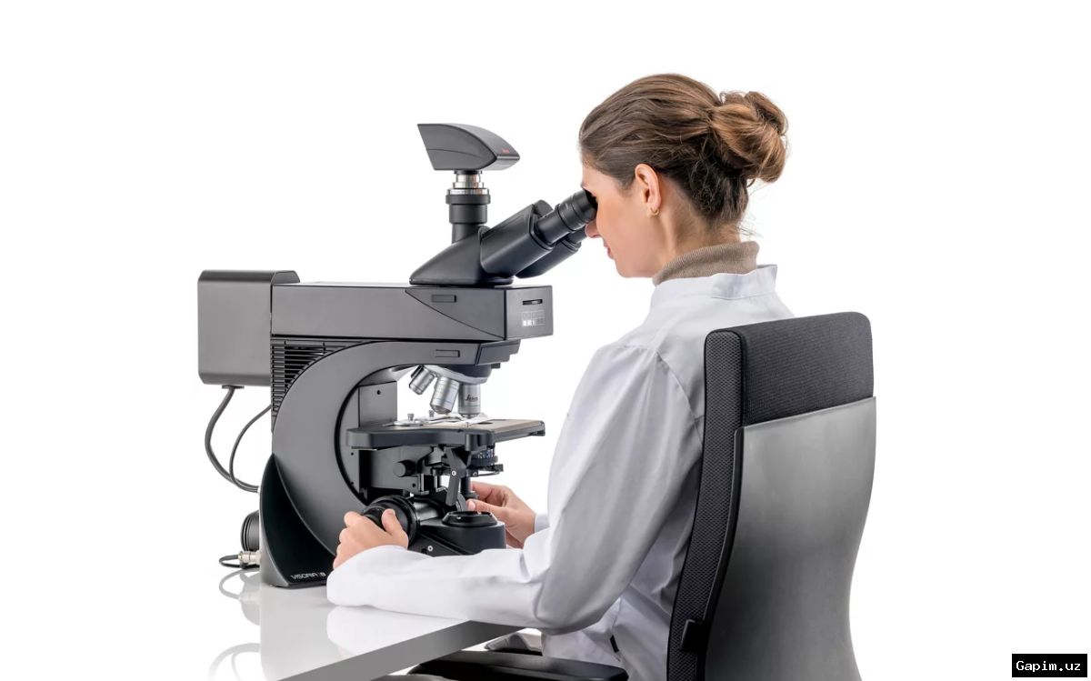 📚🕊️ O‘zbekiston adabiyot jamoati og‘ir yo‘qotishga uchradi – yozuvchi va tarjimon Kamchibek Kenja vafot etdi