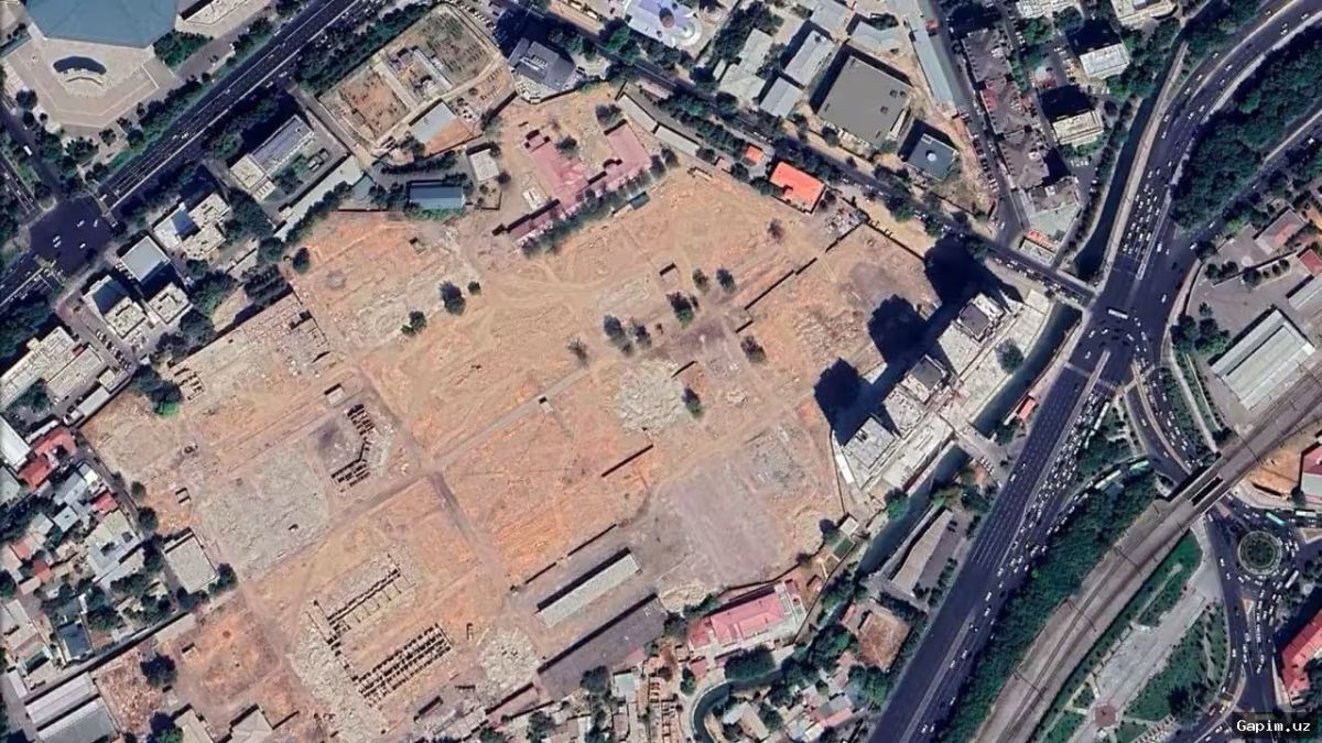 🌳⚠️ Toshkent Markazidagi Daraxtlar Holati: 70 dan Ortig‘i Kesiladi, Yangilari Ekiladi