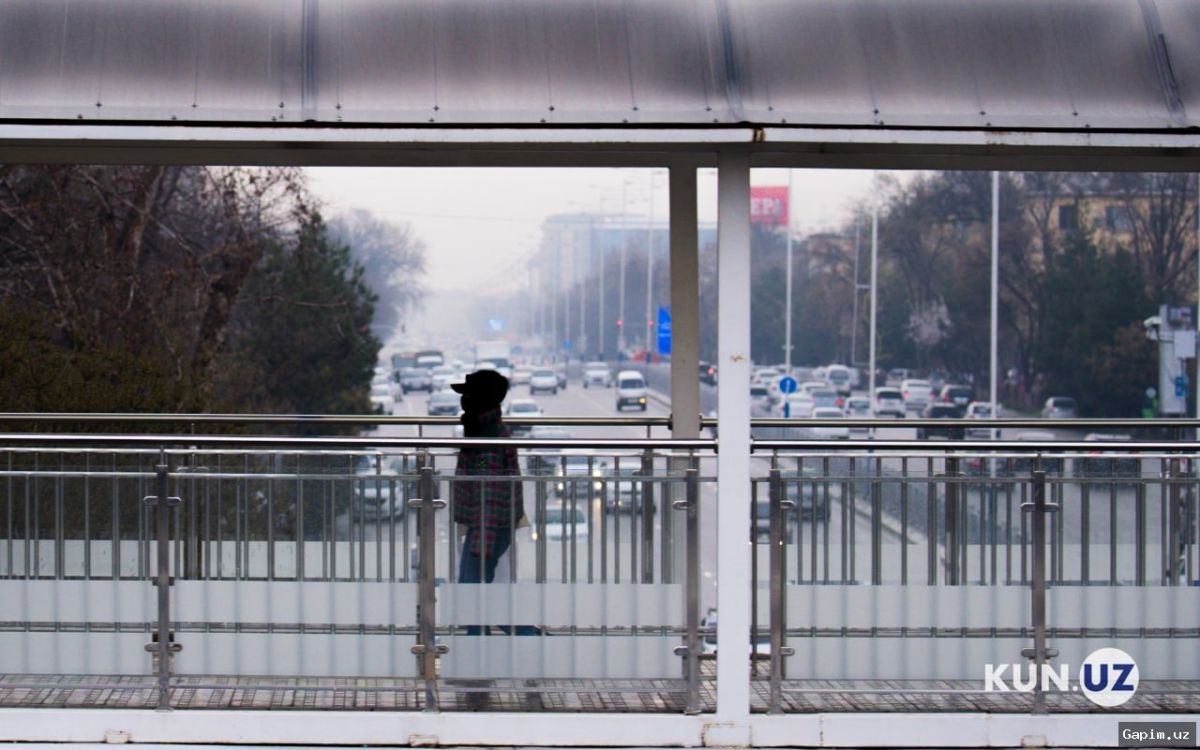 ❄️💨 Uzgidromet Ogohlantirishi: 9-12 Mart Kunlari Sovuq va Nam Havo Massalari Kutilmoqda