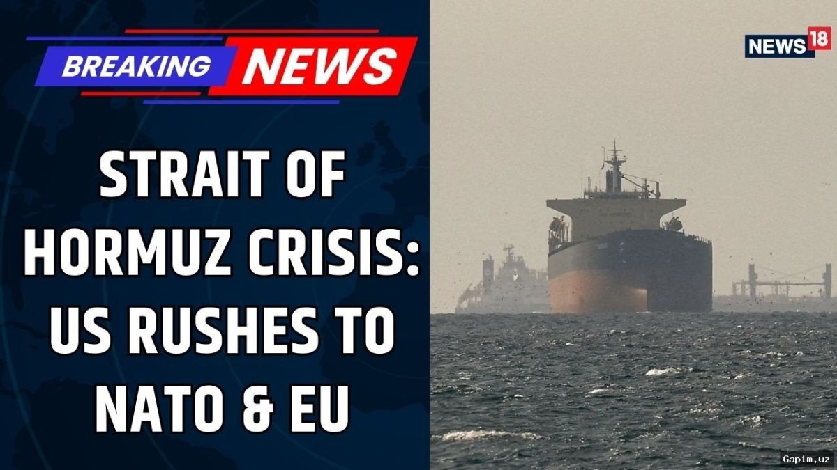 ⚔️🌊 Trump's Bizarre NATO Suggestion and the Gulf Crisis