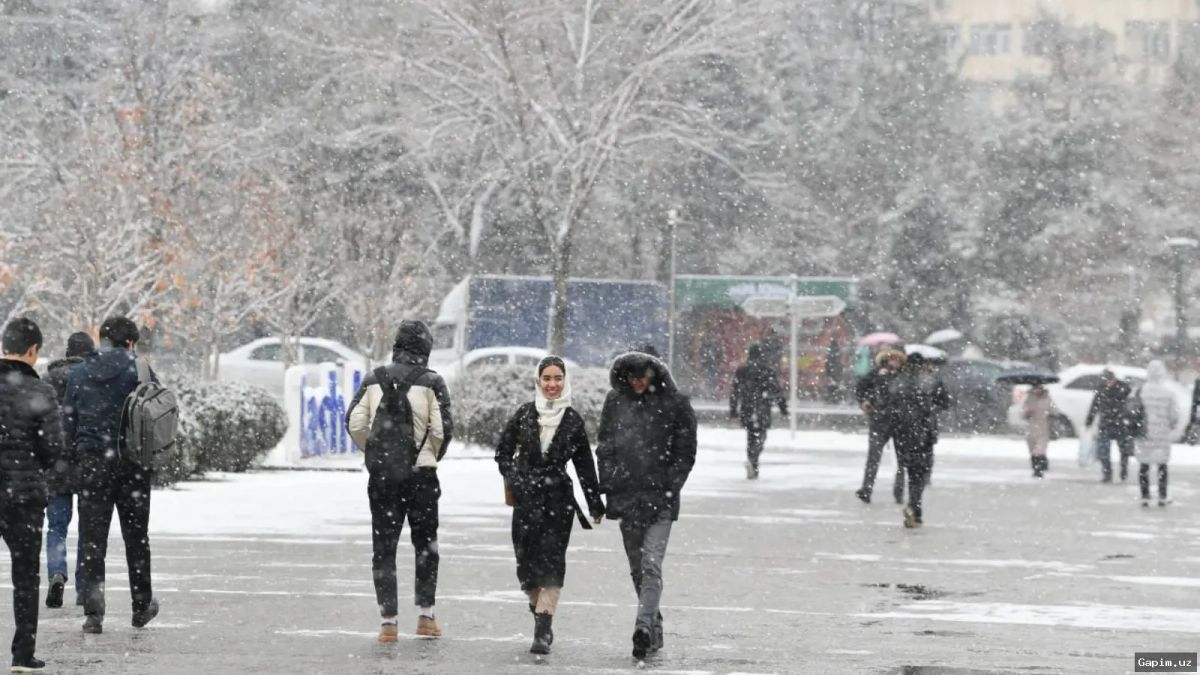 ❄️🌧️ В Узбекистане вторая неделя марта началась с холодной и влажной погоды
