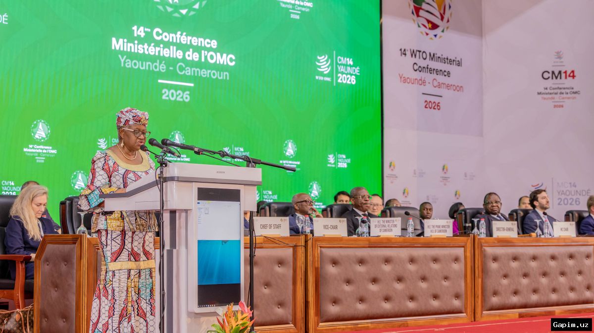 🌐💥 WTO Faces 'Disorderly Collapse' Threat Amid Global Turmoil and Reform Deadlock