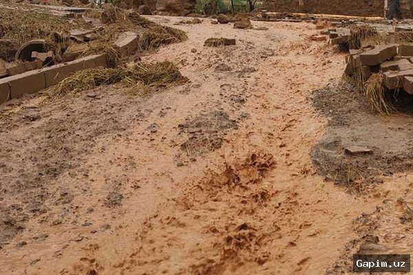 В Узбекистане объявлено экстренное предупреждение о возможных селях и паводках