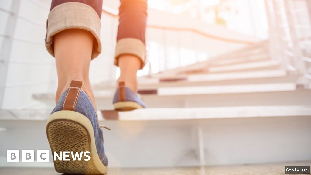 🚶‍♂️🏃‍♀️ Uzbekistan Revives '10,000 Steps Walking' Experiment