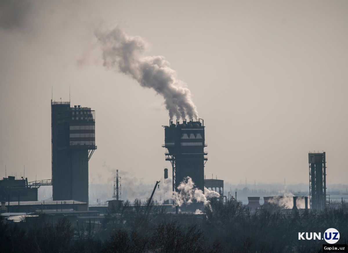 🌿💰 В Узбекистане ужесточаются финансовые санкции за экологический ущерб