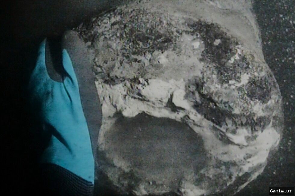 🛳️🔍 Wreck of Historic Danish Warship Dannebroge Discovered After 200+ Years in Copenhagen Harbor