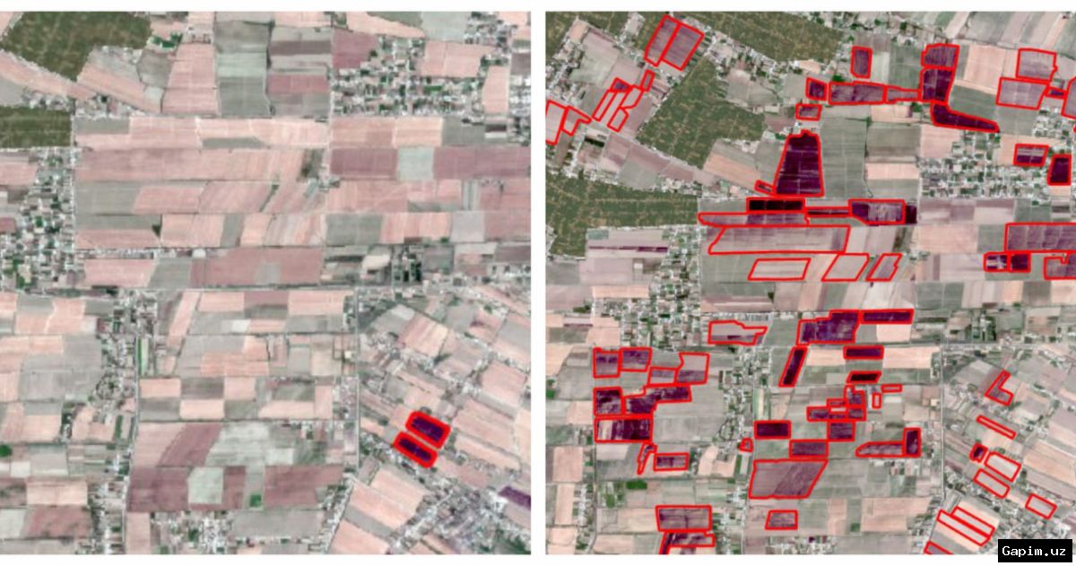 🔥💧 Fire Safety Enhanced in Surkhandarya: Water Reservoirs Installed in 'Yuqori Tupalang' National Park