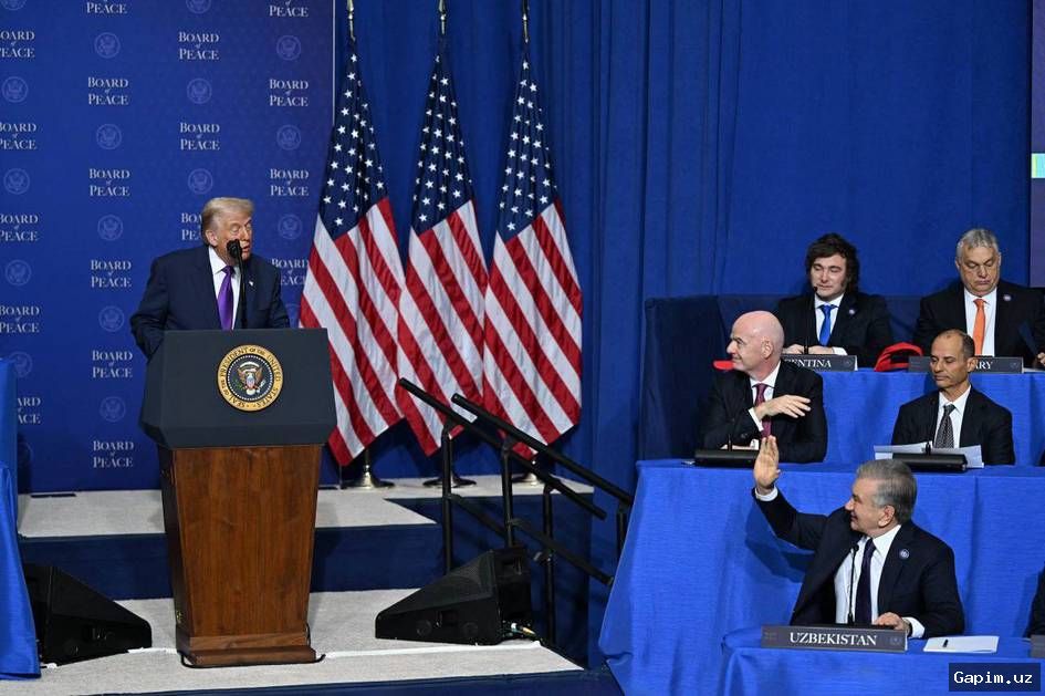 💸🤝 Peace Council: Only a Fraction of Promised $17 Billion for Gaza Reconstruction Collected