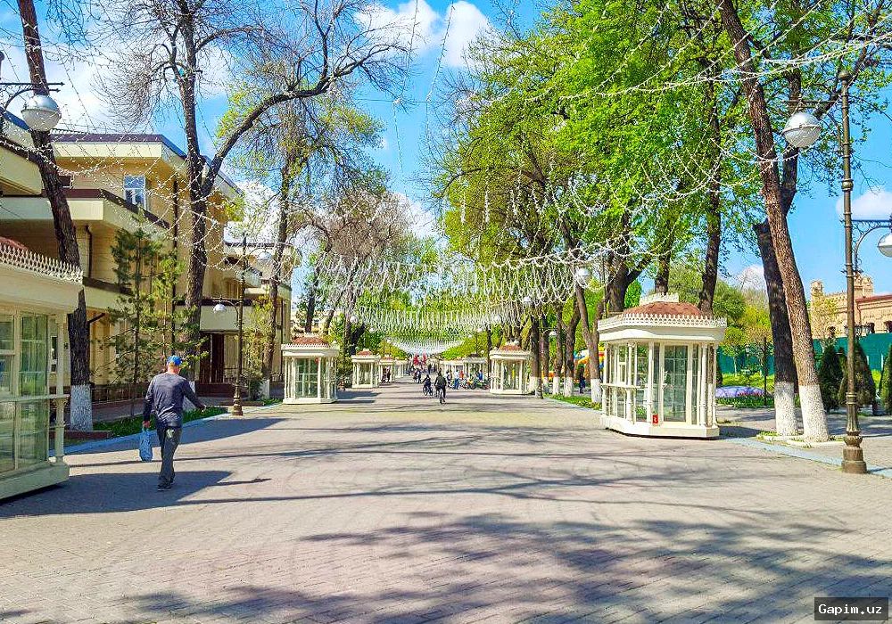 🏙️🌳 Комплексное развитие центра Ташкента: «Бродвей» и прилегающие территории обретут новый облик