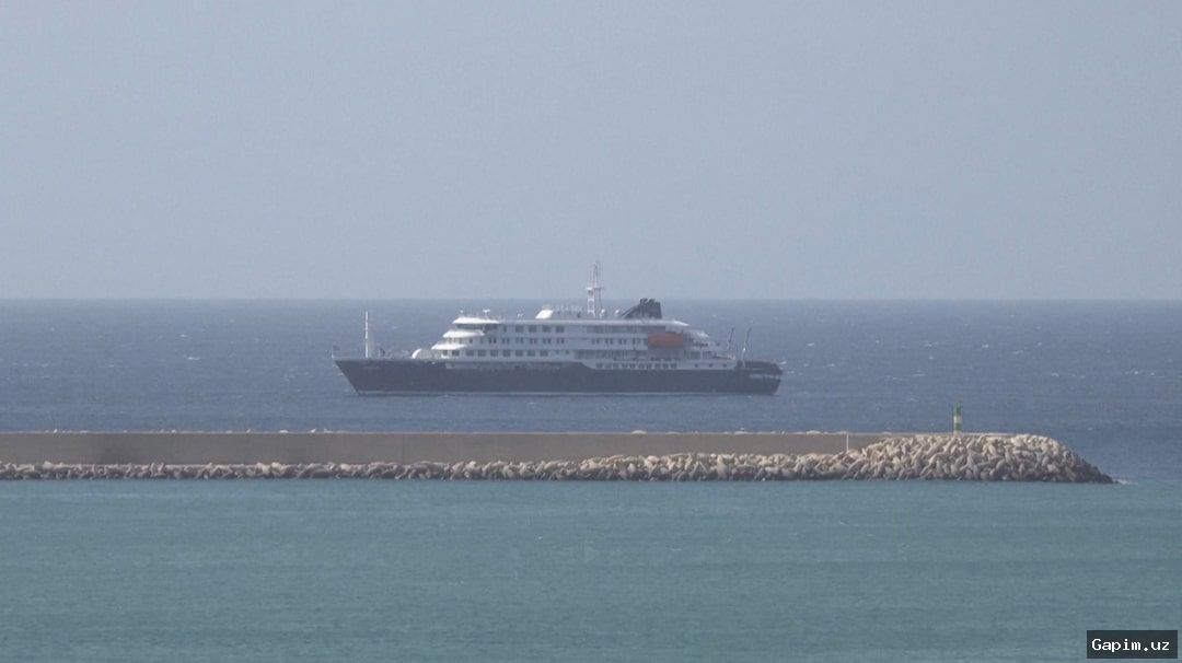 🦠🚢 WHO: Hantavirus may have spread between humans on Dutch cruise ship with three deaths