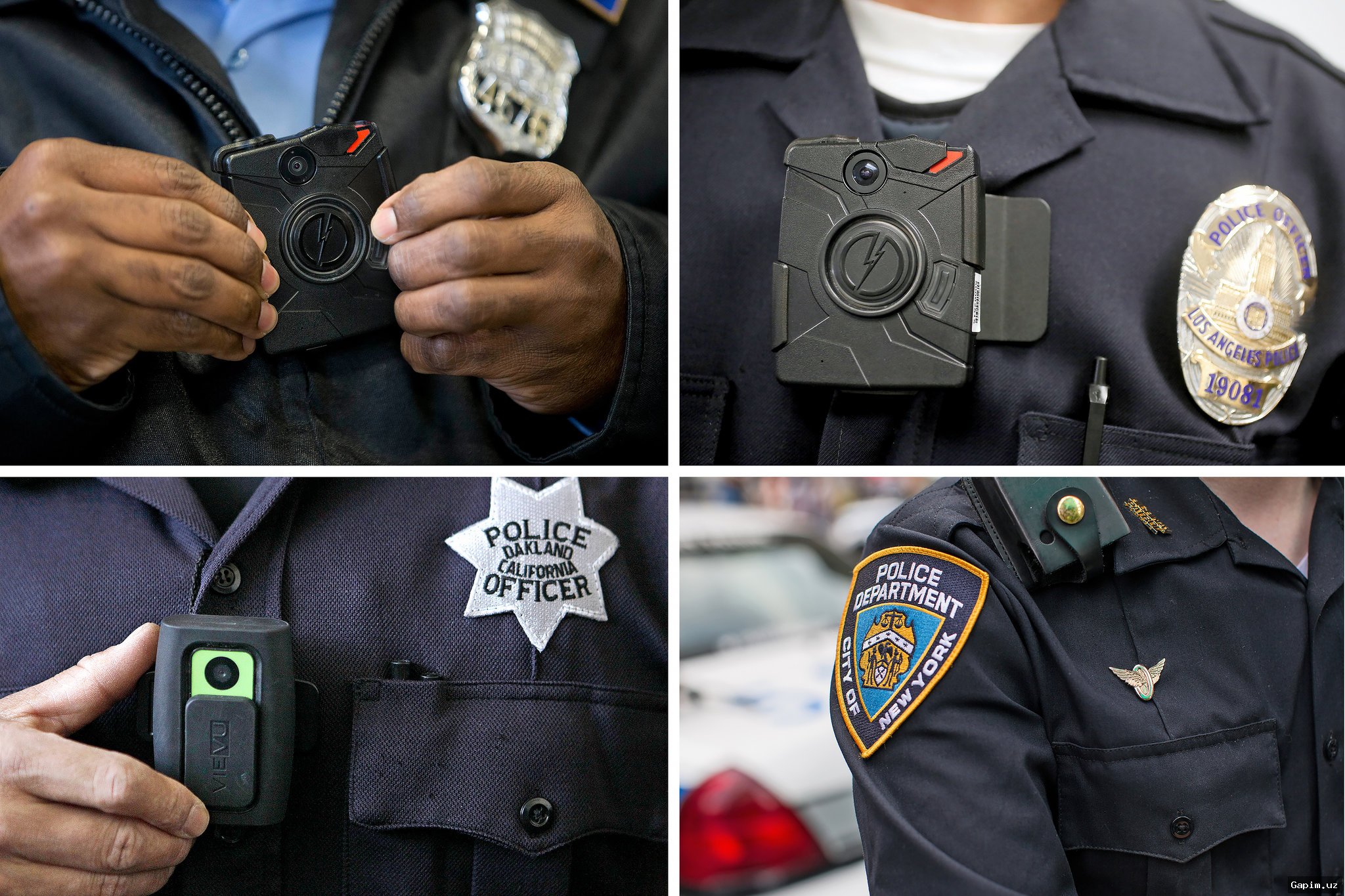 ⚖️ Полицейский не успел включить камеру перед стрельбой в Сиднее, заслушано на следствии