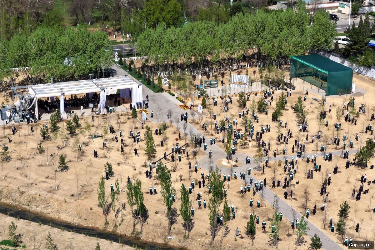 🌳🔬 Национальный дендрологический парк: Зелёное будущее Узбекистана