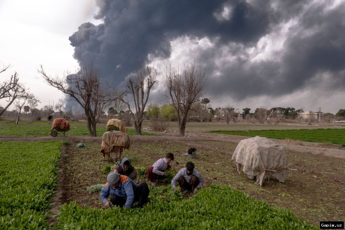 🌾💥 Urg‘it taqchilligi oqibatida haftasiga 10 milliard ovqat yo‘qolishi mumkin — Yara rahbari