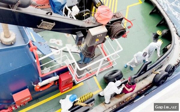 🦠🚢 Вспышка хантавируса: три человека погибли на круизном лайнере у берегов Аргентины