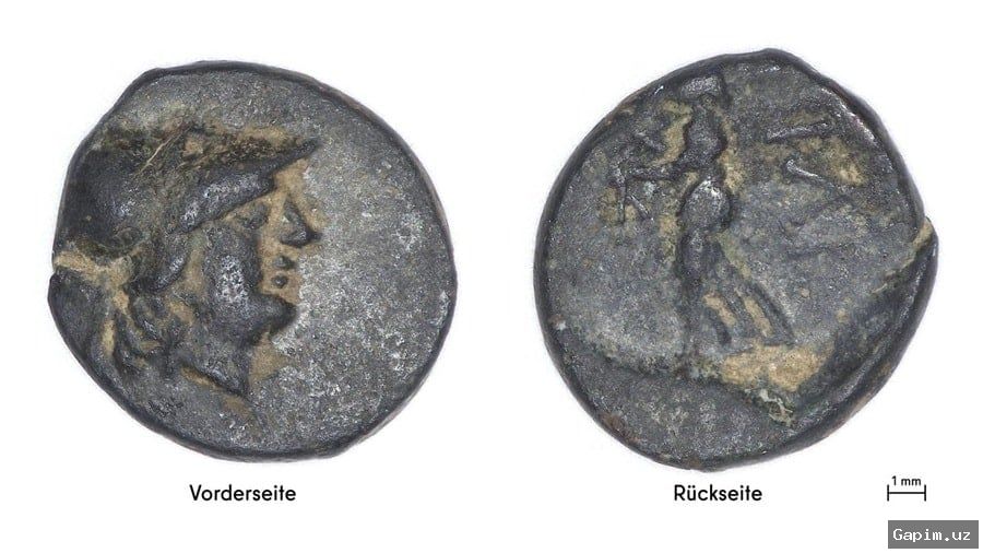 🏺🗺️ 13-летний подросток нашёл монету древней Трои — редчайшая находка в Германии