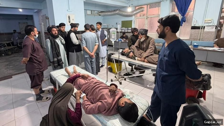 🔫😔 Attack at Picnic Spot in Western Afghanistan Leaves Multiple Dead
