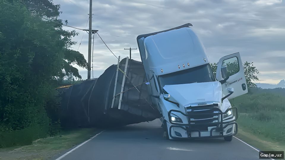 🐝🚛 Reports of Missing Bee Trucks from Uzbekistan in Russia Unfounded