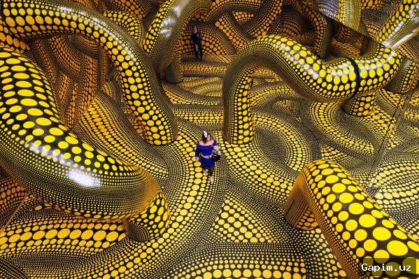 🎨🧠 Yayoi Kusama: Art as Therapy and Social Critique in Cologne Exhibition