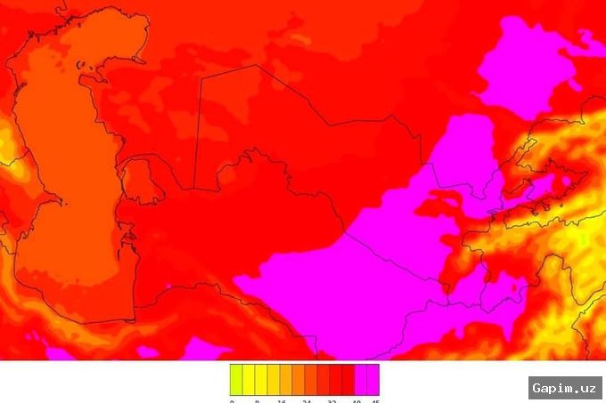 🌤️🌪️ Weather Forecast for Uzbekistan This Week: Warmth, Wind, and Rain