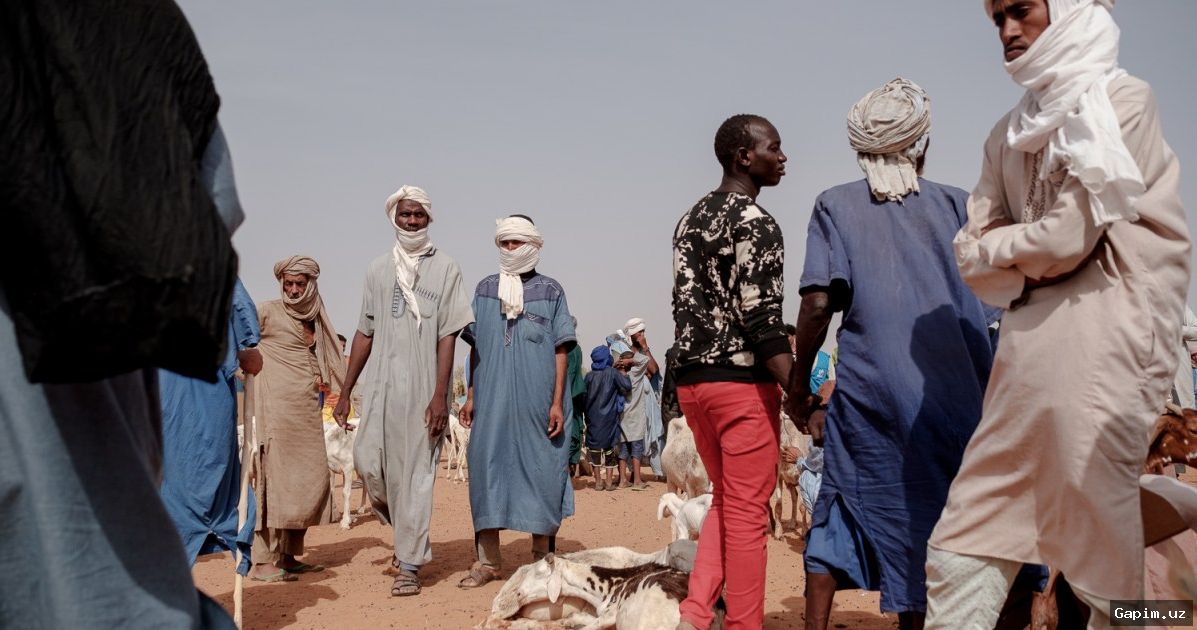 🏚️🌍 Mali qochqinlari: urush va zo‘ravonlikdan qochib, Mavritaniyada boshpana izlamoqda