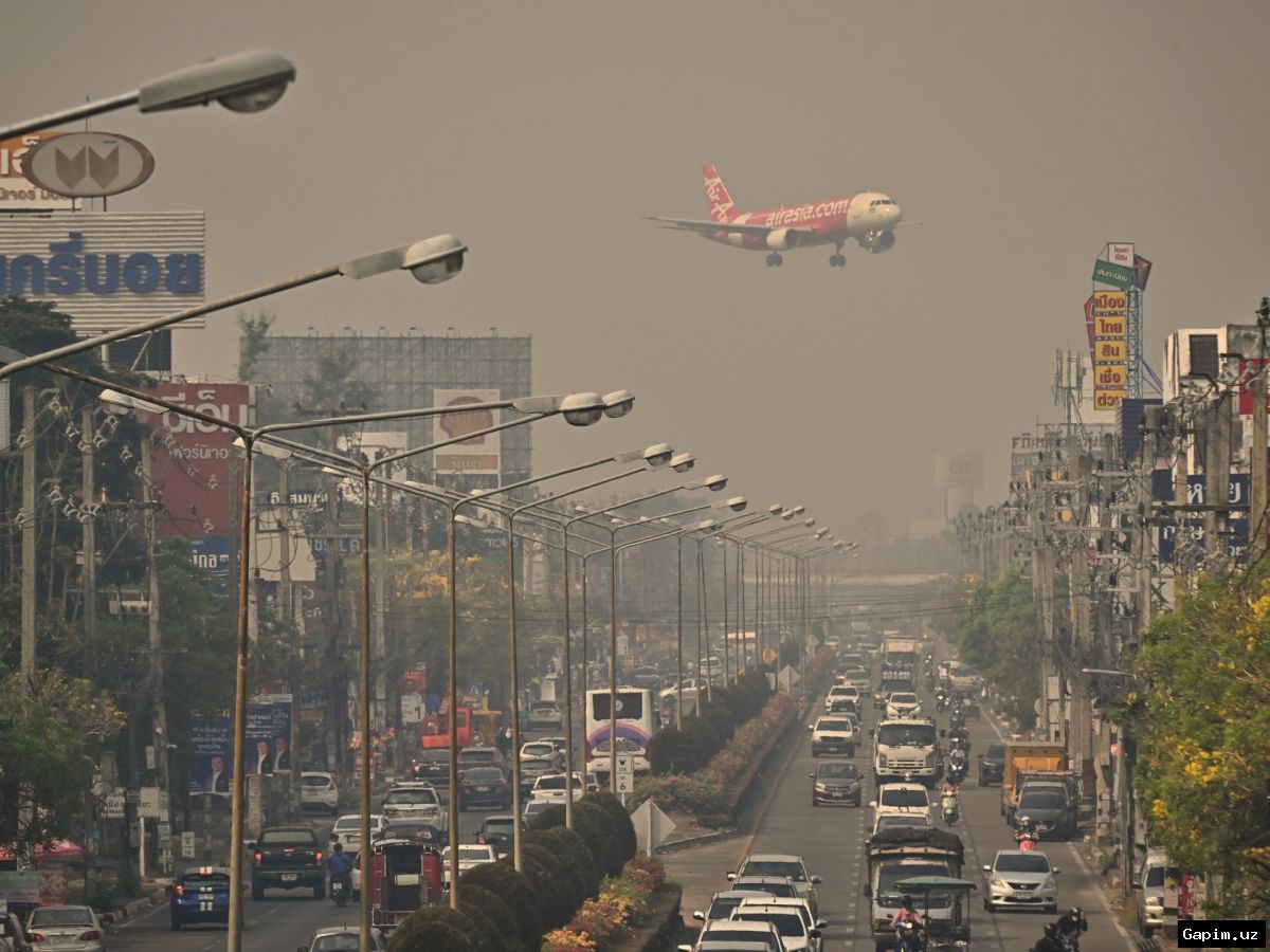 🌫️🏥 Chiang Mai Air Pollution Crisis: Families Consider Relocating for Children's Health