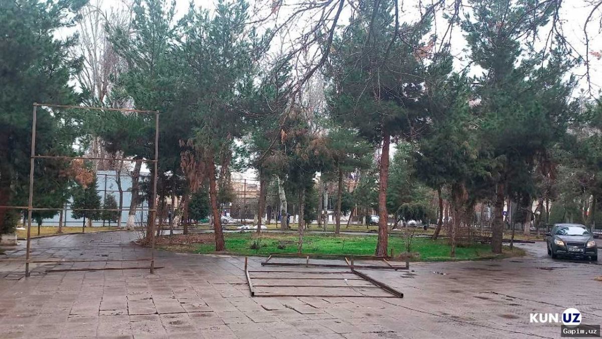 🌳🔥 В Ташкенте продолжается массовая 'санитарная обрезка' деревьев под предлогом благоустройства