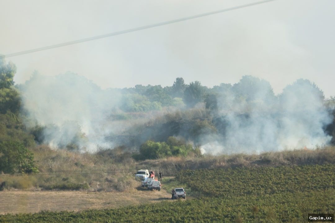 🚀💥 Yemen's Houthis Claim Missile Strike on Israel, US Troops Injured in Saudi Arabia