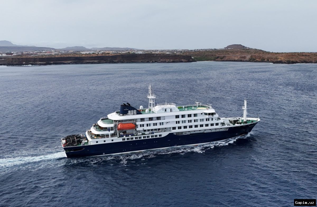 🔬🚢 Hantavirus outbreak on cruise ship: dozens of passengers traced after three deaths