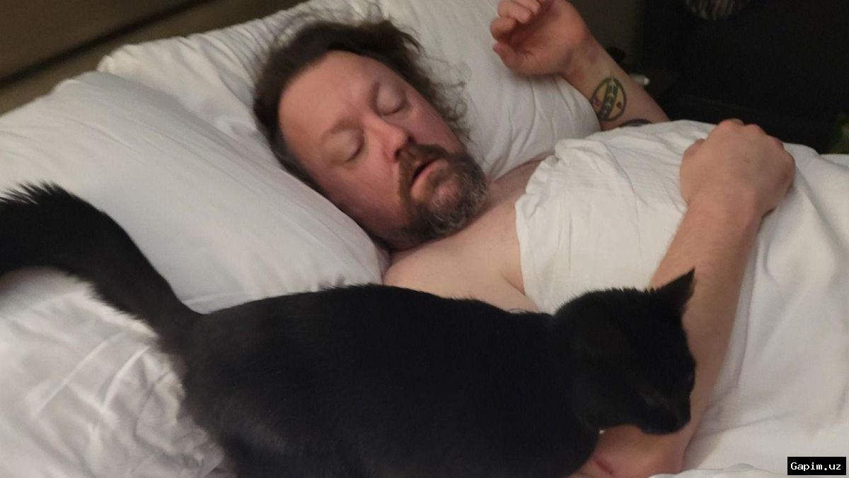 🐈‍⬛⚖️ Двое мужчин осуждены на тюремное заключение за жестокое обращение с кошками в гостинице Бостанлыкского района