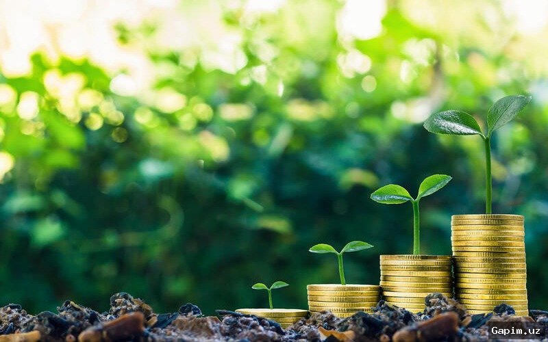 🌾⚡️ Khorezm Region Plans Agricultural Production Increase and Biofuel Projects