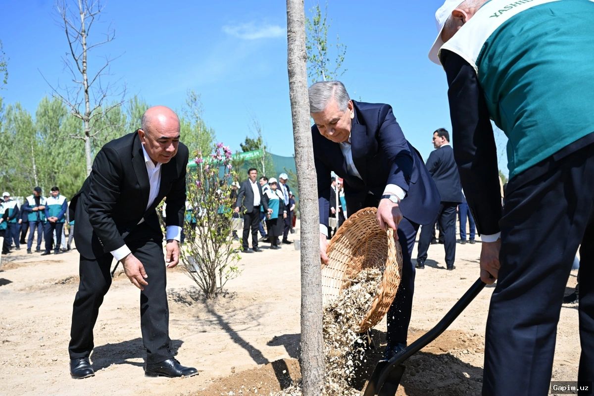 🌳🤝 Uzbekistan and Czech Leaders Plant Tree of Friendship