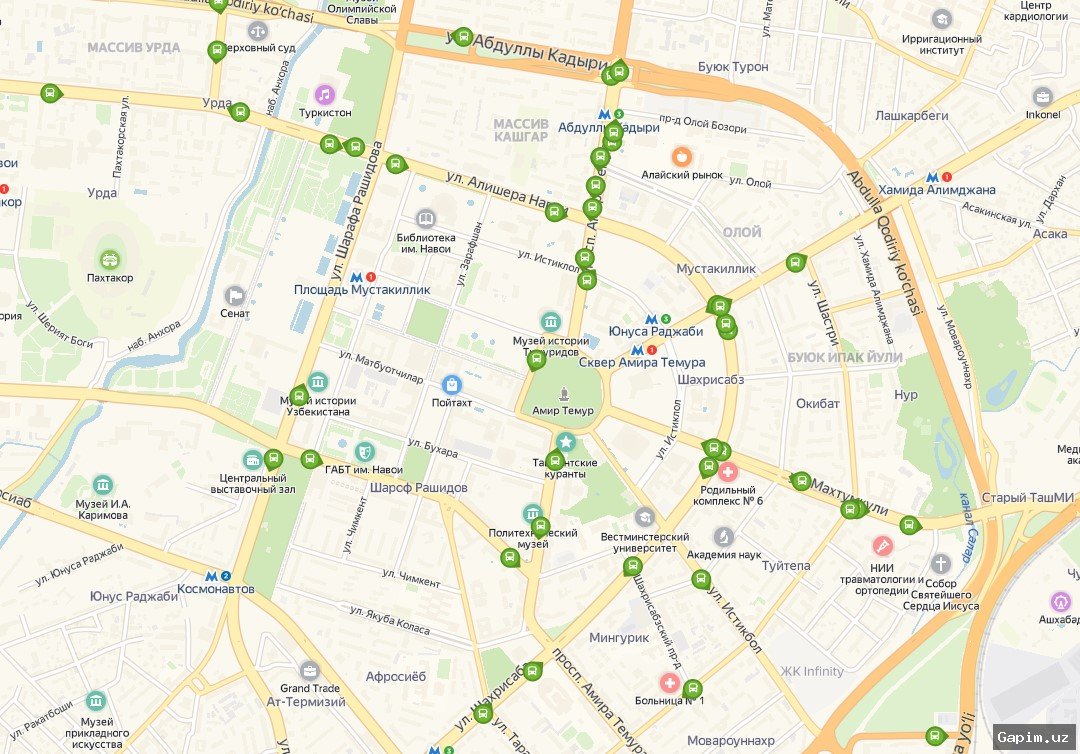 🚌🏞️ Seasonal Bus Service on Tashkent–Chorvoq Route Resumes