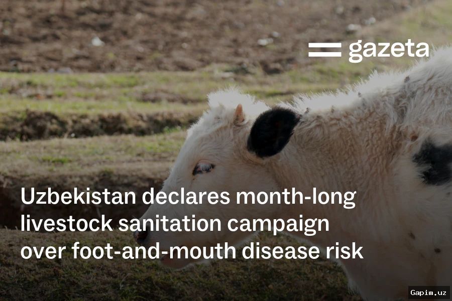 🐄🦠 Uzbekistan Launches Massive Anti-Foot-and-Mouth Campaign: 20 Million Vaccine Doses to Be Procured