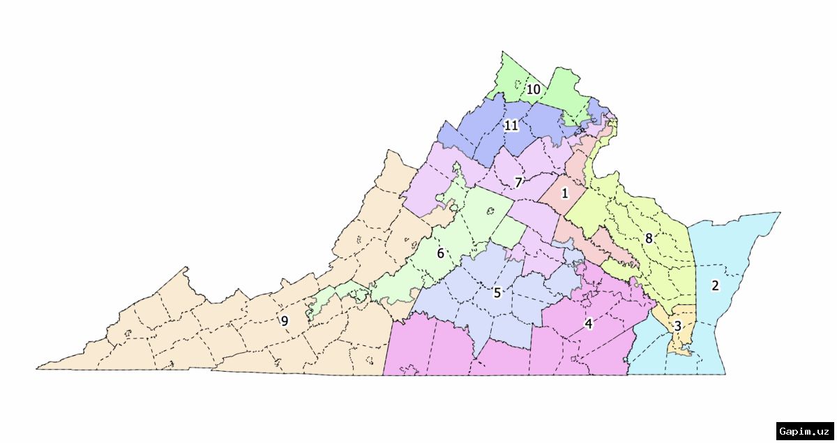 🗳️🗺️ Voters in Virginia Decide on Redistricting Measure with National Implications