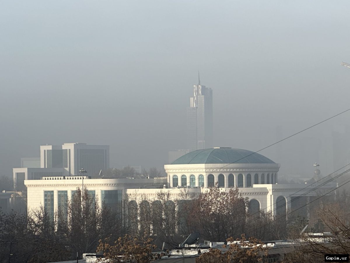 🌿📉 Seoul's Air Quality Improves Significantly: PM2.5 and PM10 Levels Drop
