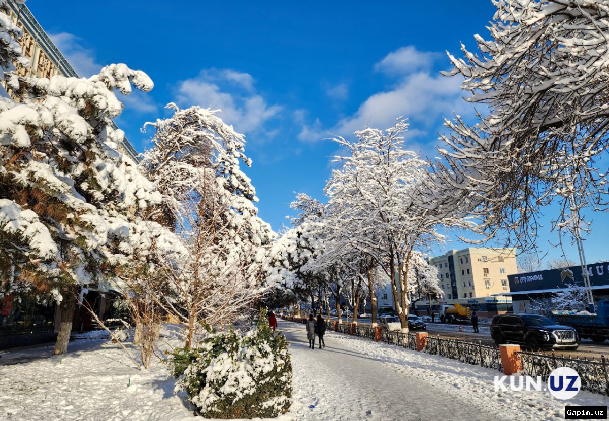 ❄️🌨 Unexpected Snowfall in Tashkent: Weather Data and Warning for Drivers