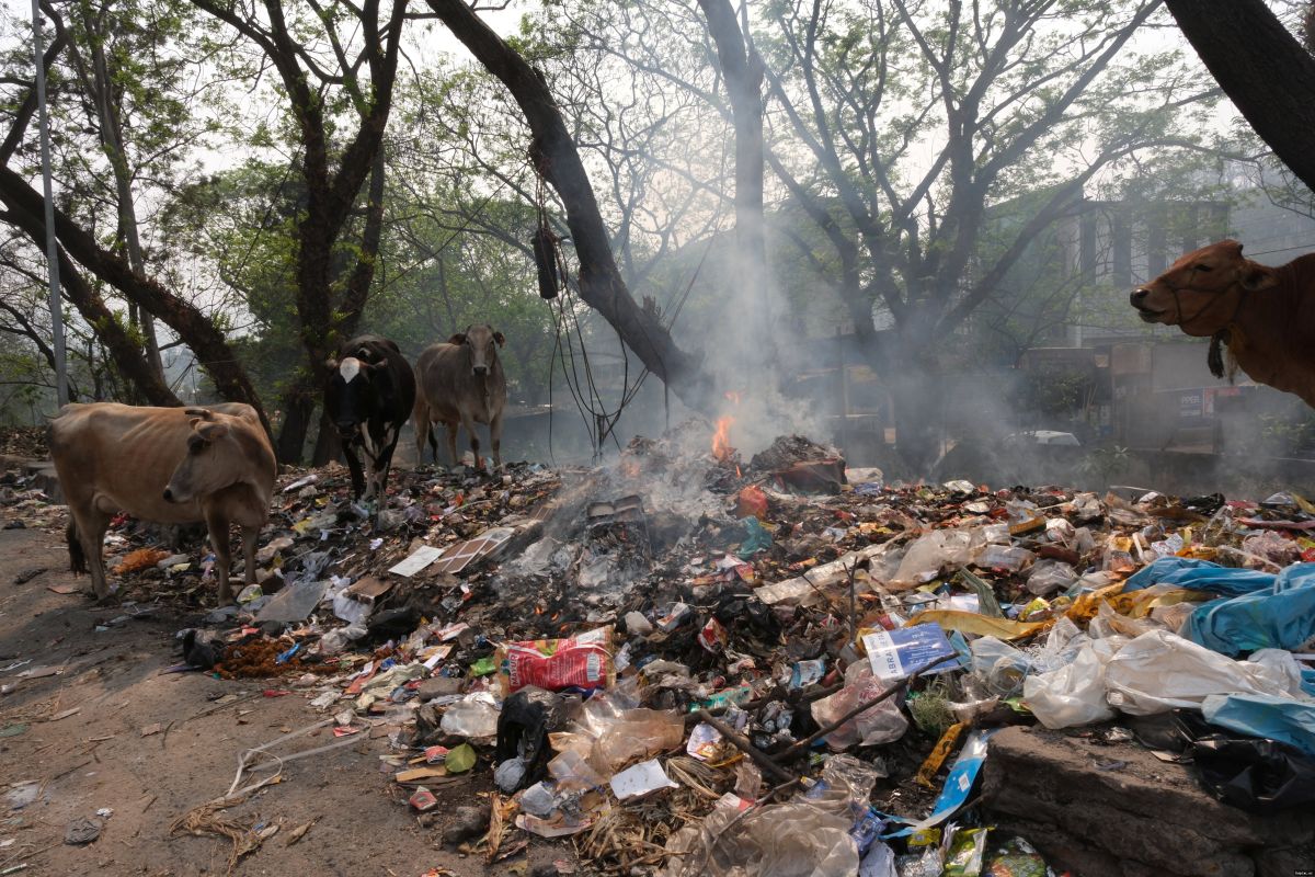 🌫️🏙️ Три города Индии вошли в список самых загрязненных в мире, Рахул Ганди назвал внешнюю политику Моди "шуткой"